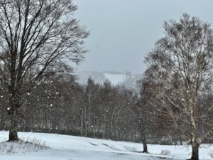 奥志賀、真冬並みの色合い。