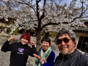 来春は御開帳とDC。