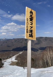 春スキー健在。